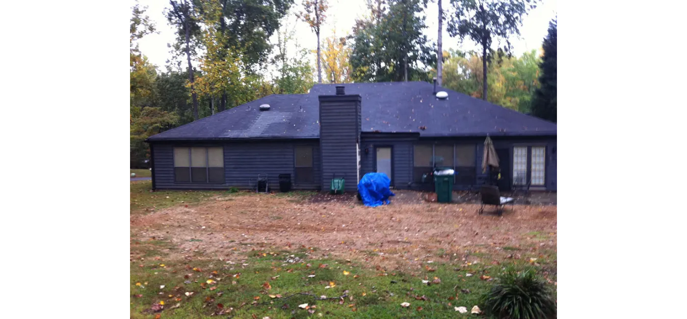 Before Image
