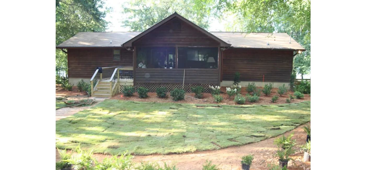 Before Image