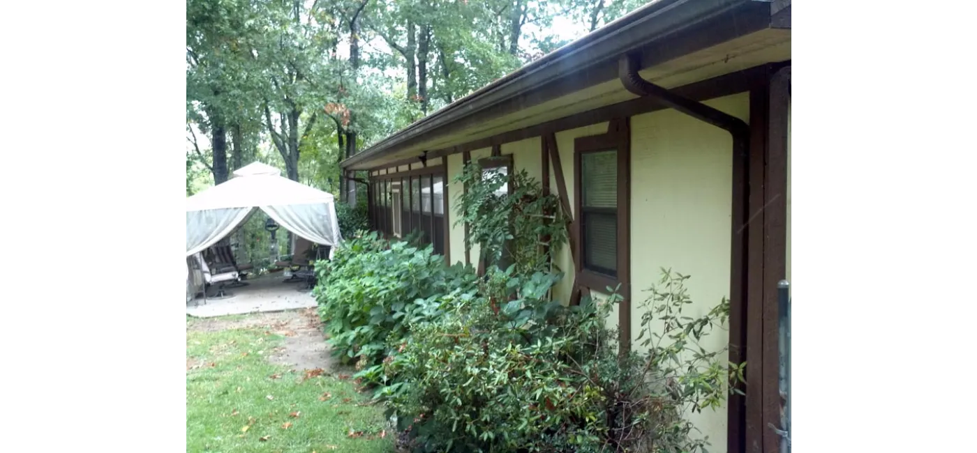 Before Image