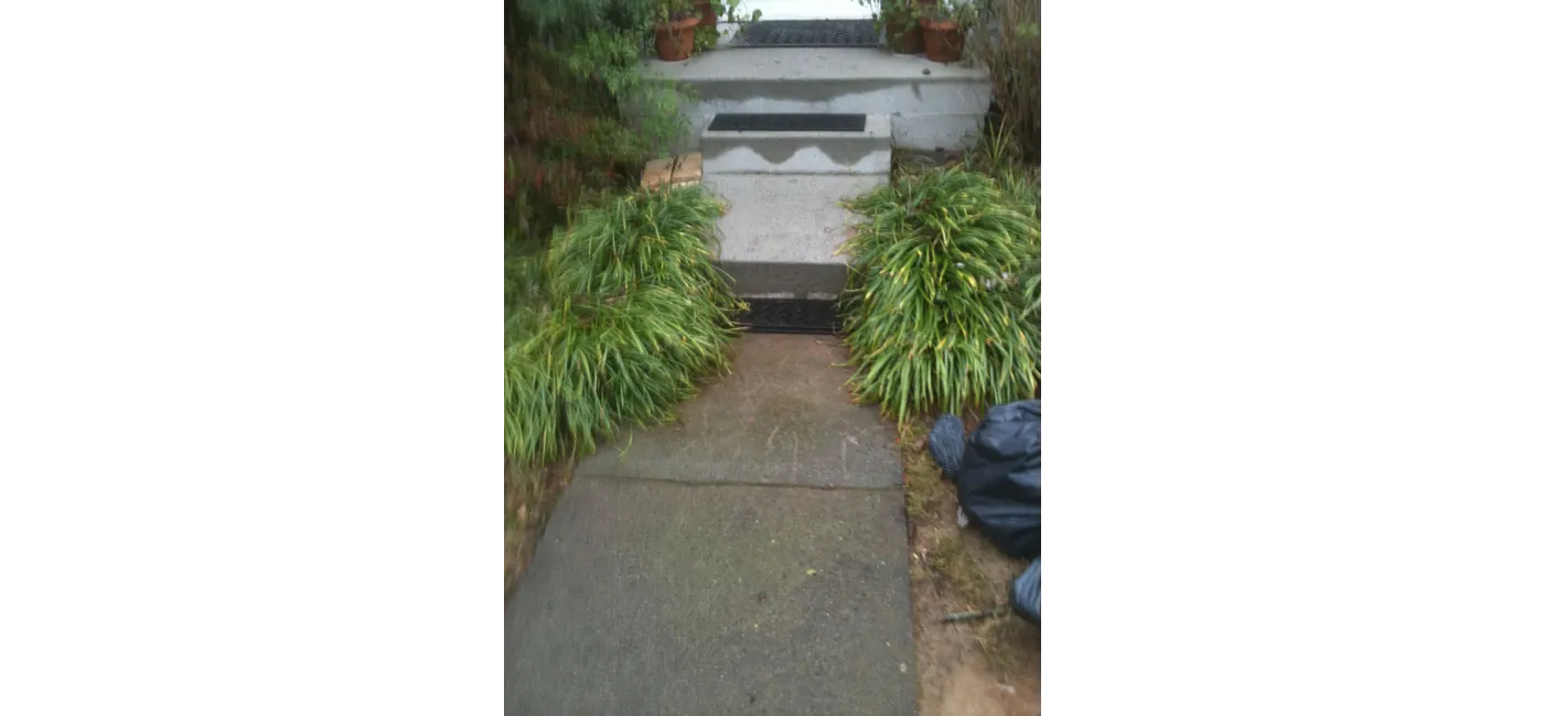 Before Image