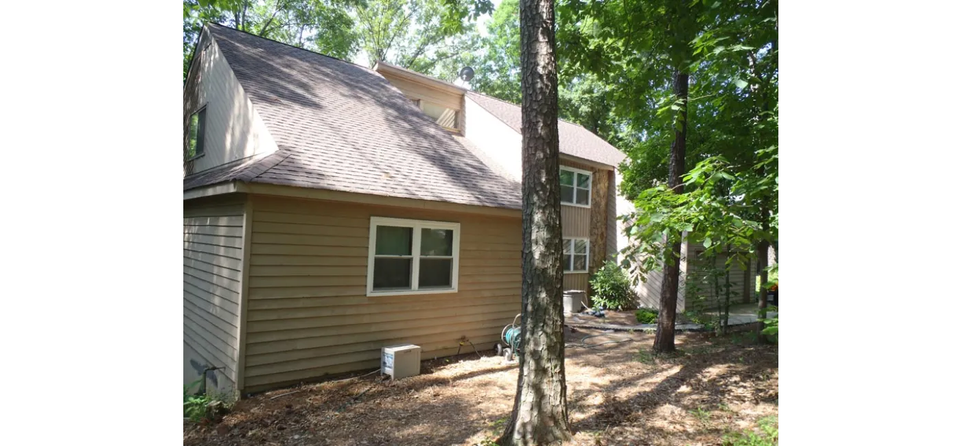 Before Image