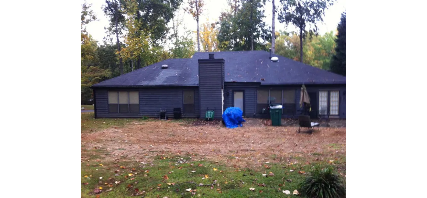 Before Image