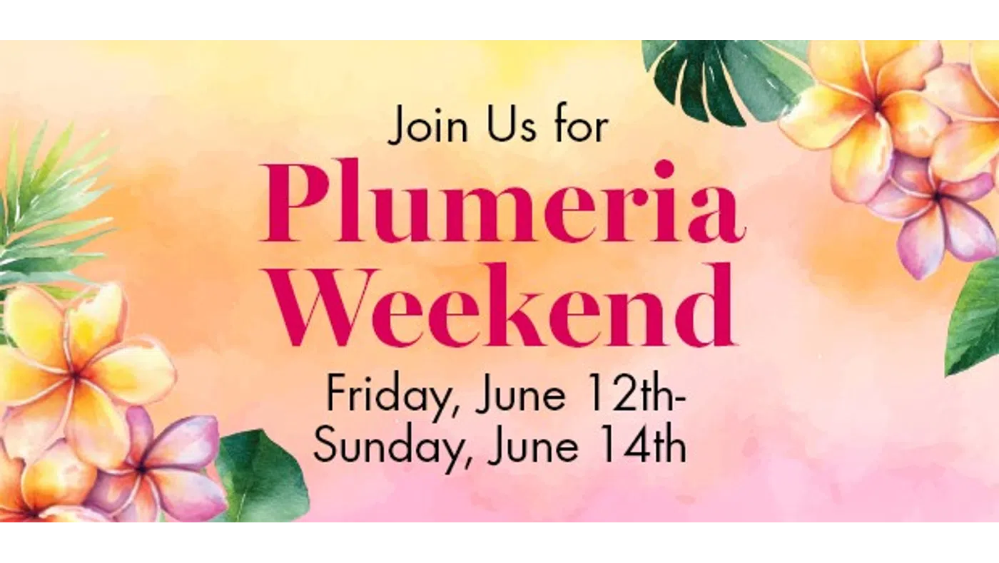 Invitation to Plumeria Weekend event from June 12th to 14th with tropical floral decorations on a pastel background.