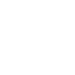Qatar Airways logo featuring a burgundy oryx head inside a circular frame with the airline's name in bold serif font.
