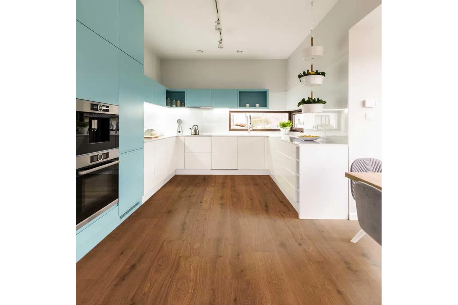Modern kitchen with blue and white cabinets, wood floor, built-in appliances, and pendant plant holders by window.