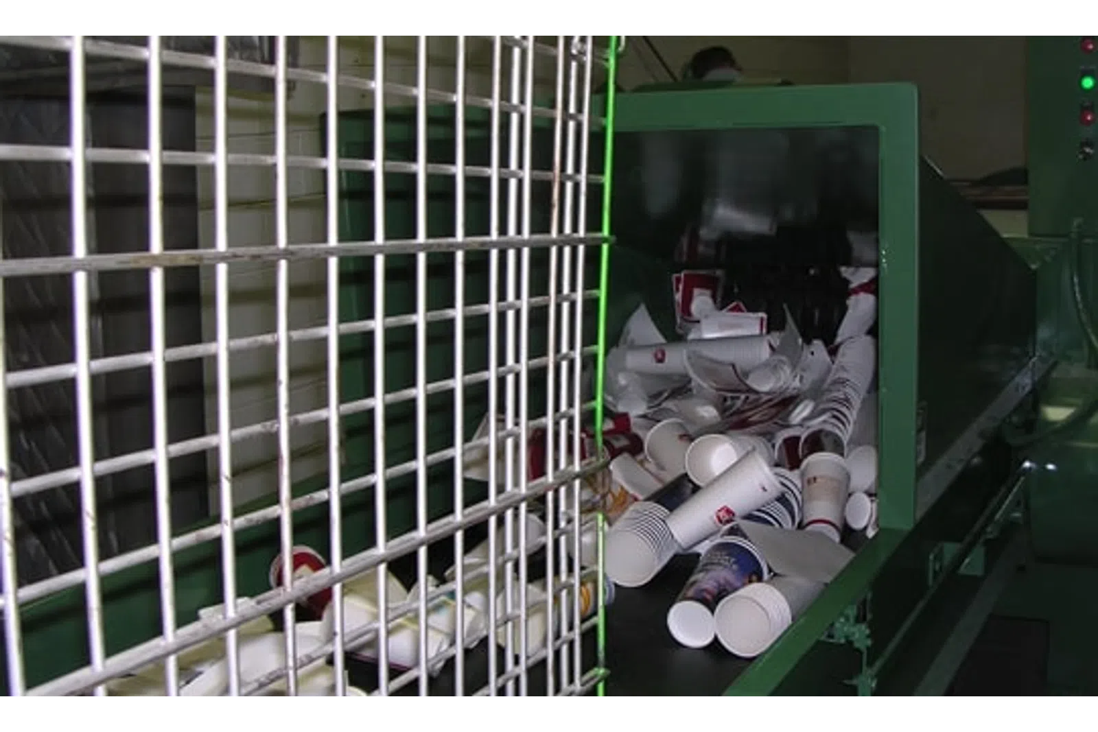 Disposable cups entering a green recycling machine conveyor belt behind a metal safety grid