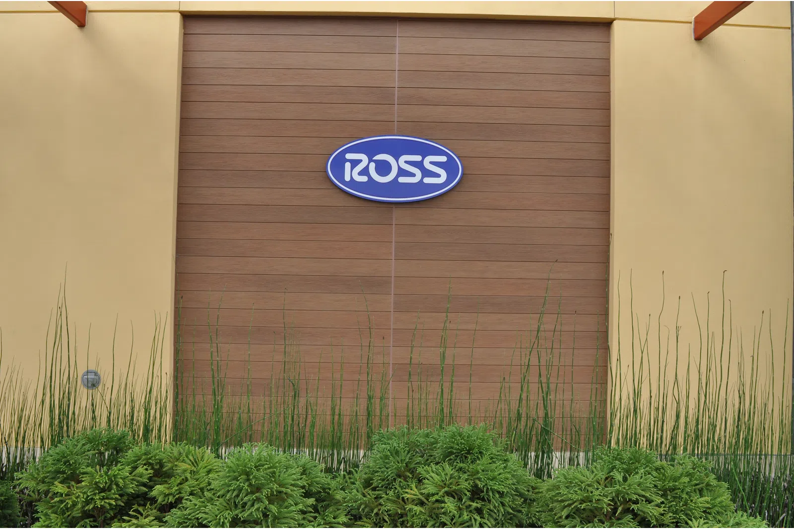 Blue Ross store logo mounted on wooden panel wall with green plants in front under beige structure.