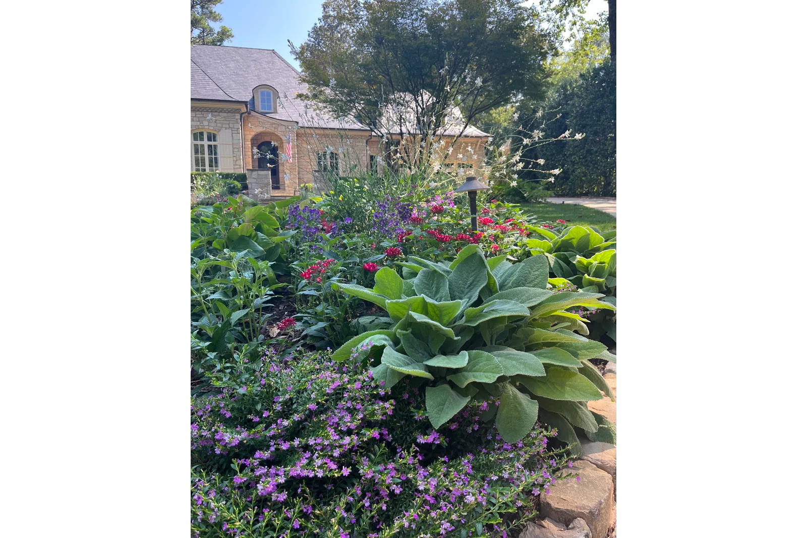 a garden with flowers and trees