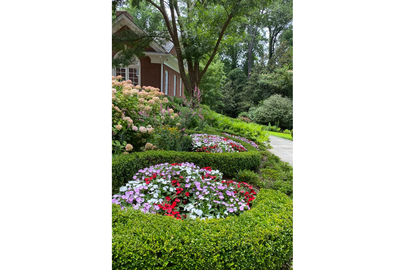 a garden with flowers and trees