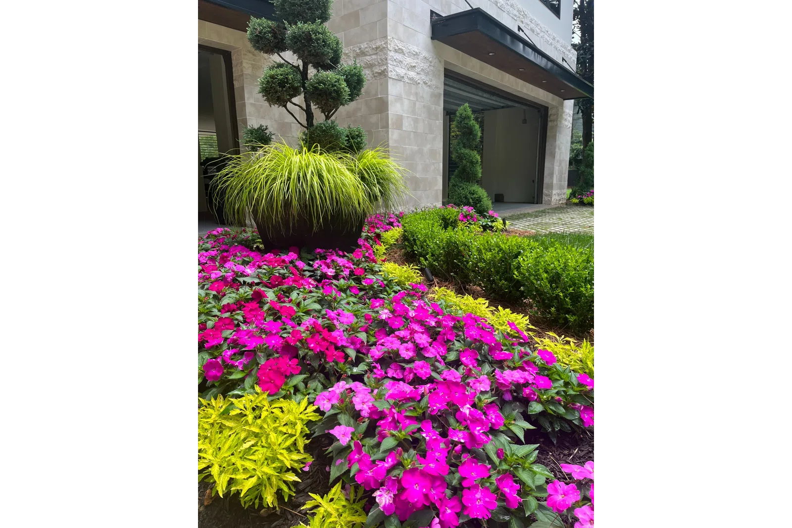 Modern garden with bright pink flowers, ornamental grass in a pot, shaped shrubs, and beige stone house exterior.