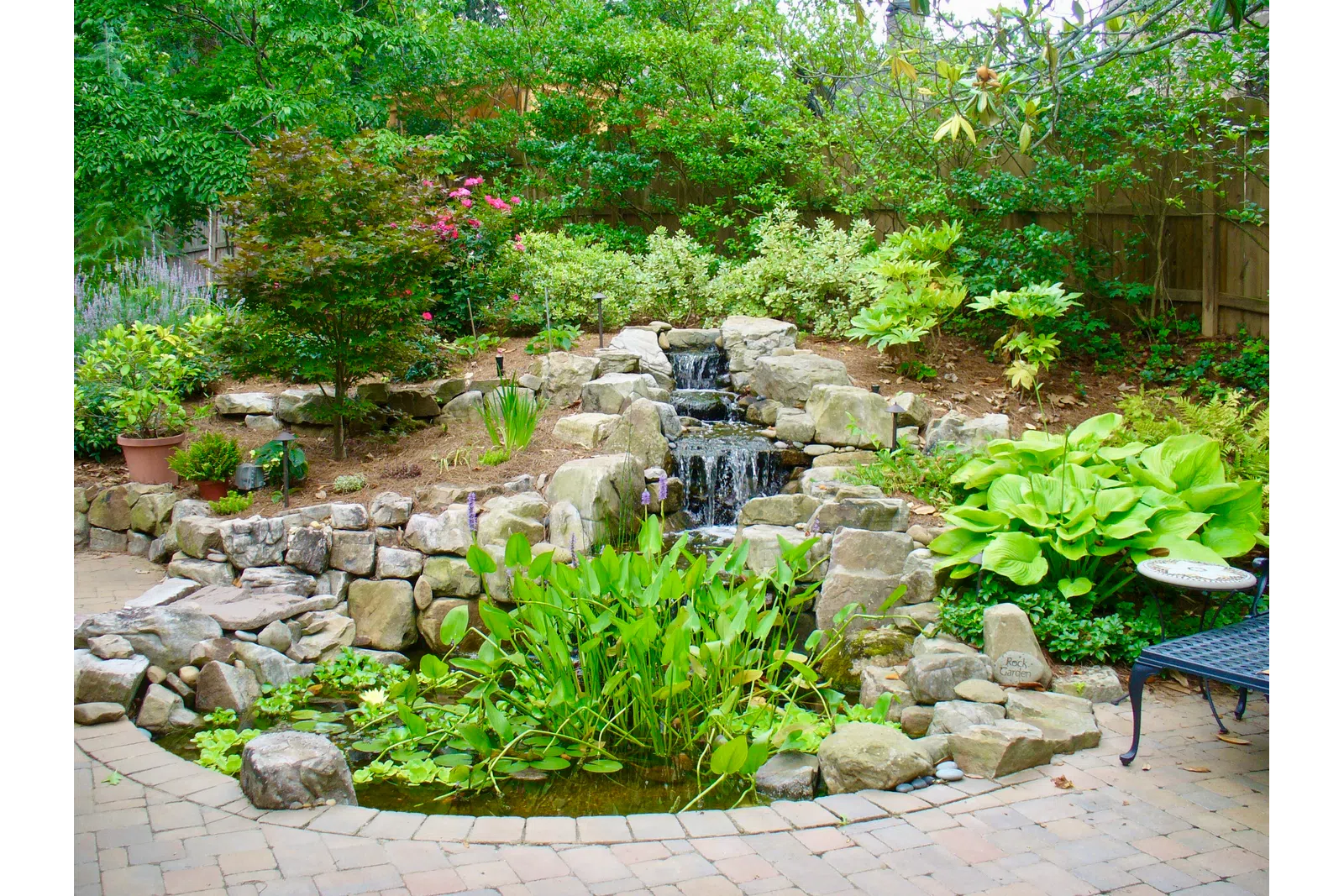 a small garden with a bench