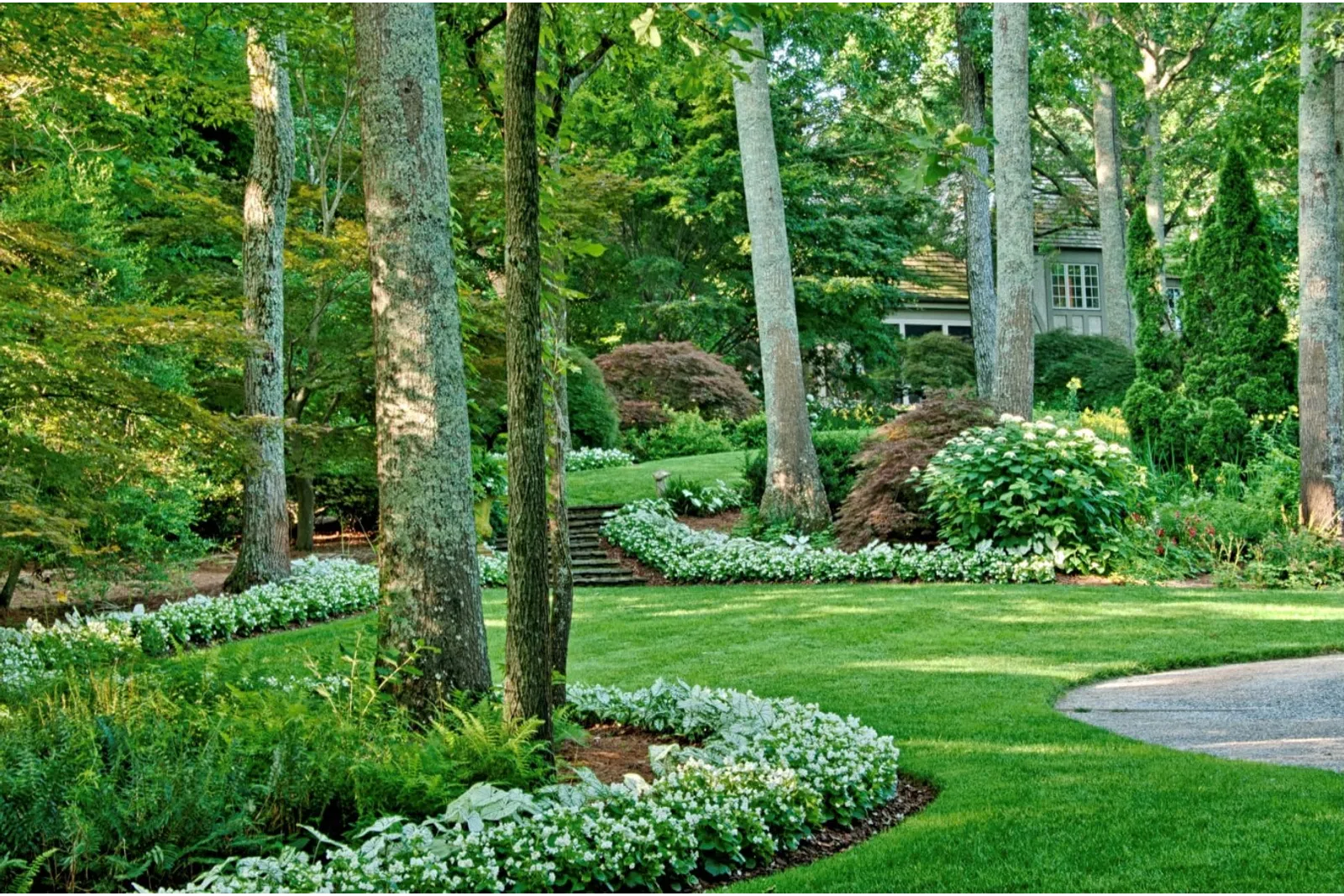 green plants in a garden