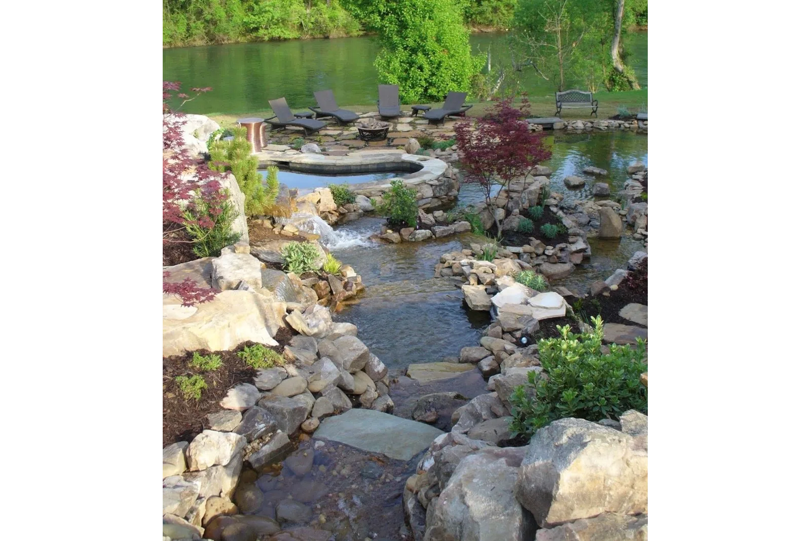 a pond with rocks and plants
