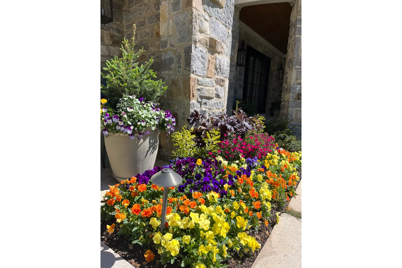 a garden of flowers