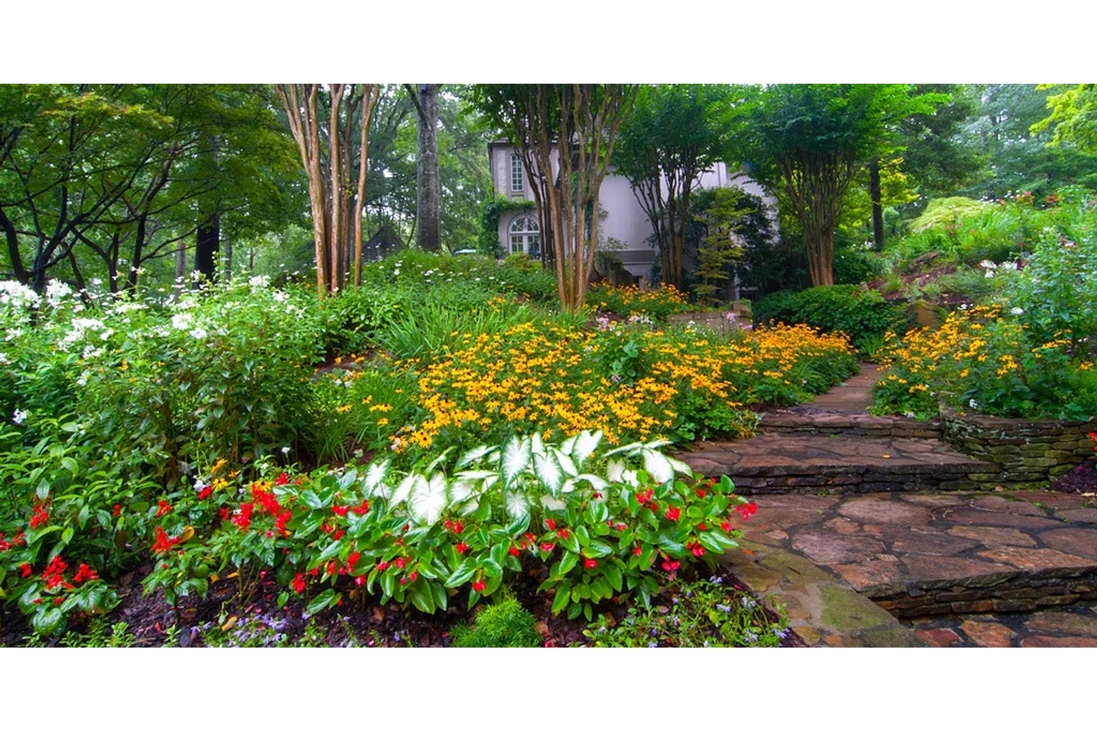 a garden with flowers and trees