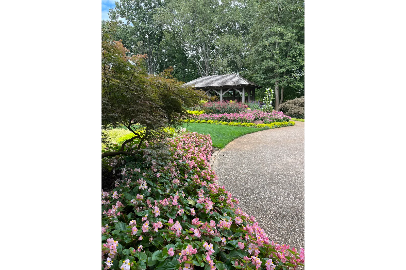 a garden with a gazebo