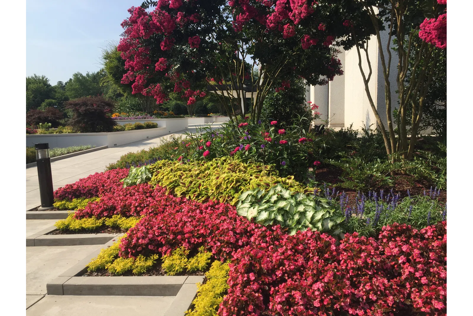 a garden with flowers
