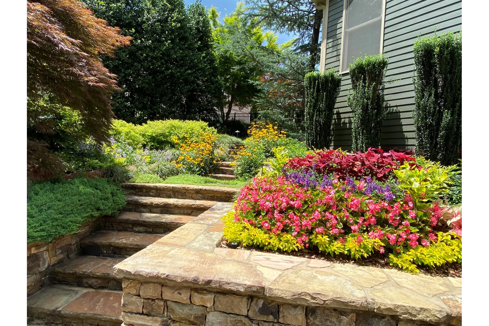 a garden with flowers