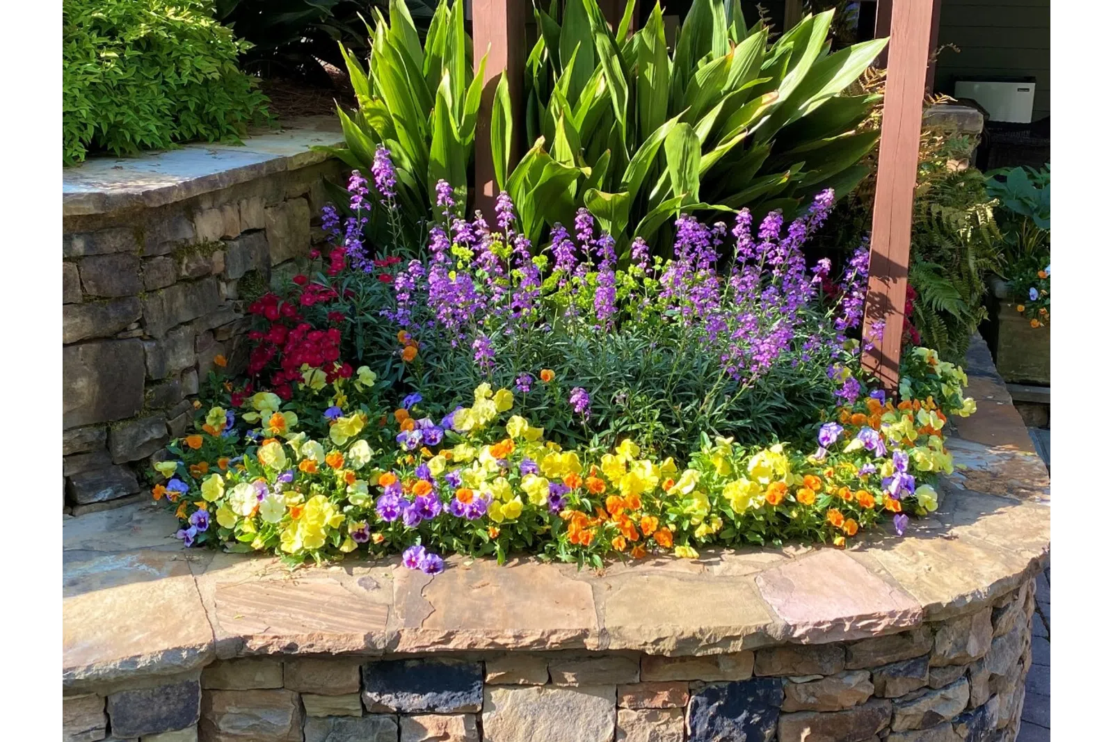 a close up of a flower garden