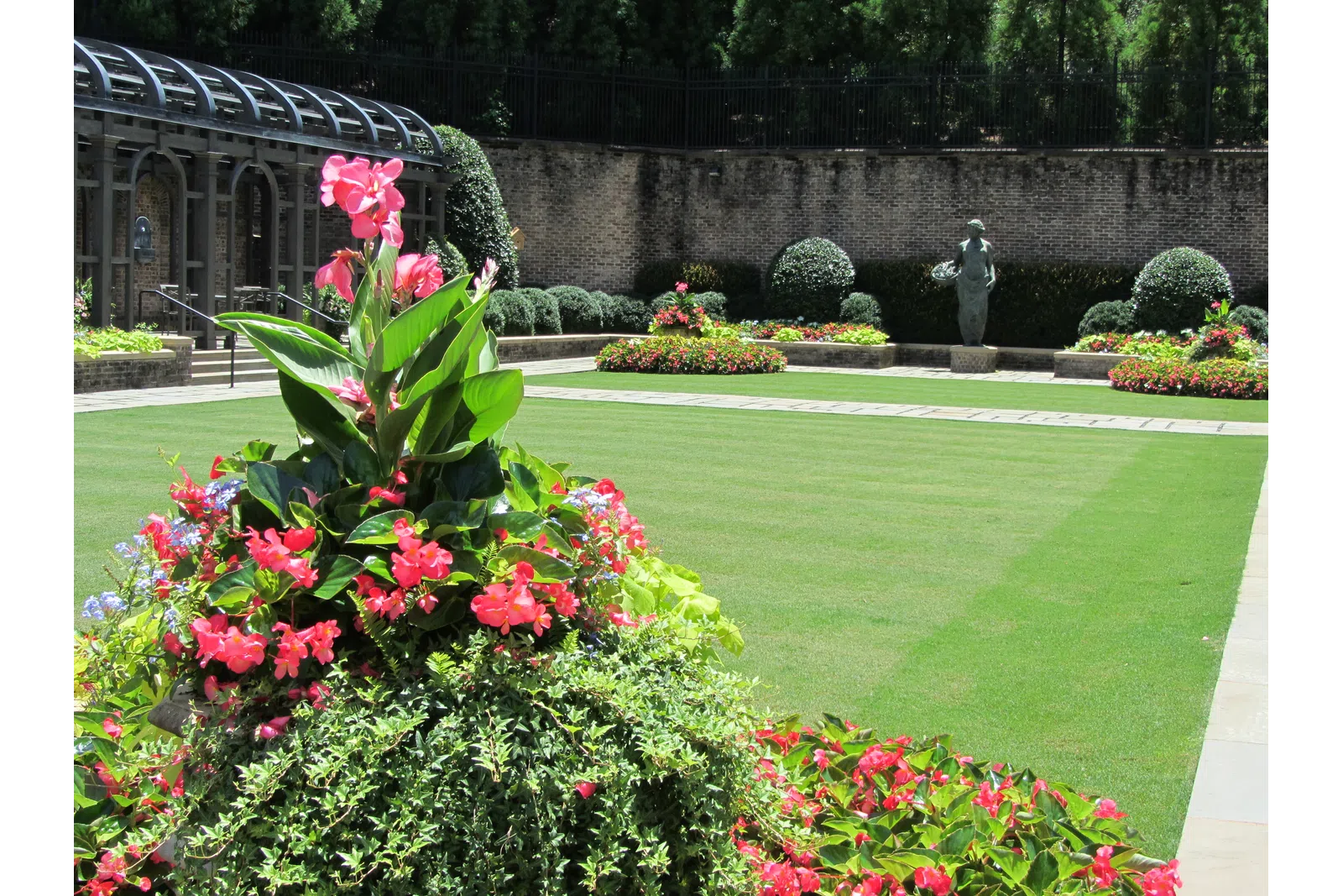 a garden with flowers