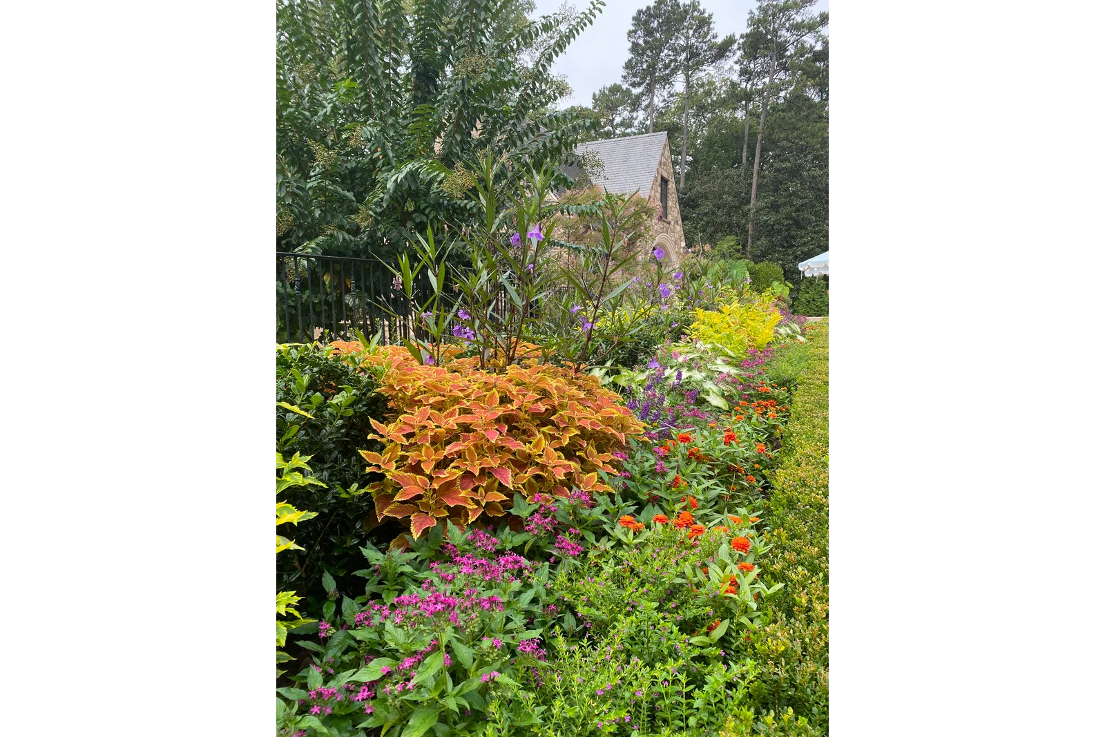 a garden with colorful flowers