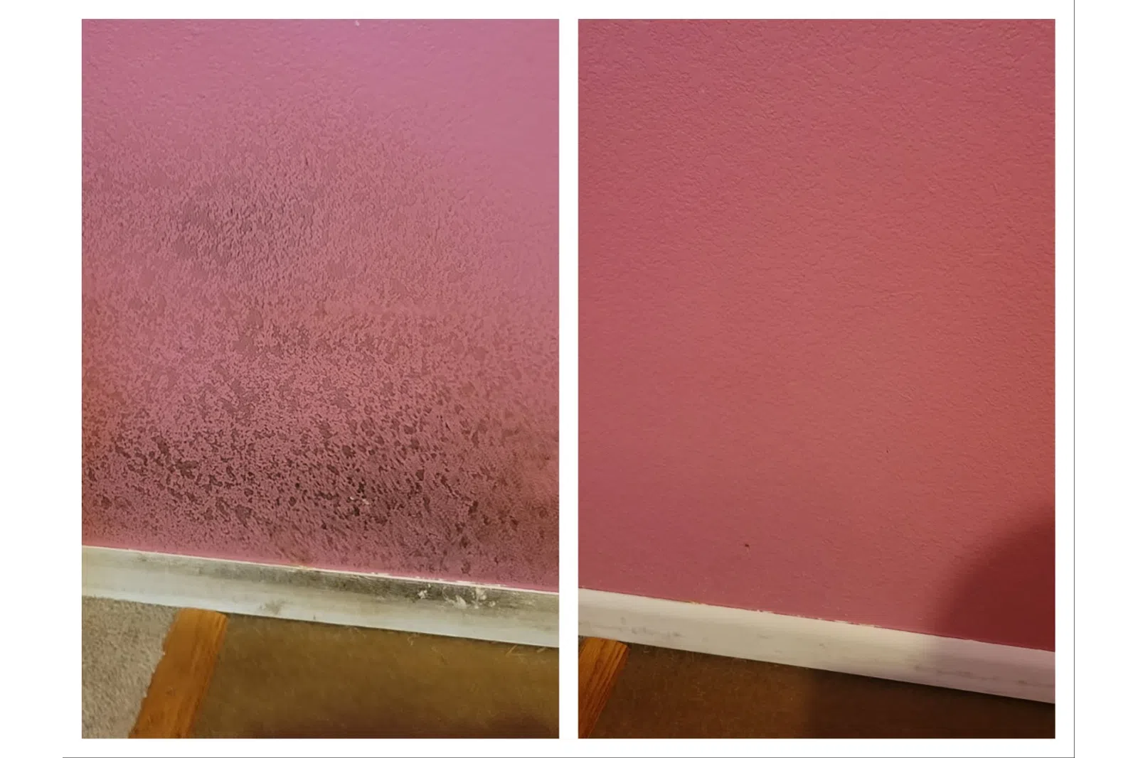 Side-by-side comparison of a pink wall showing mold and dirt buildup on the left and a clean pink wall on the right.