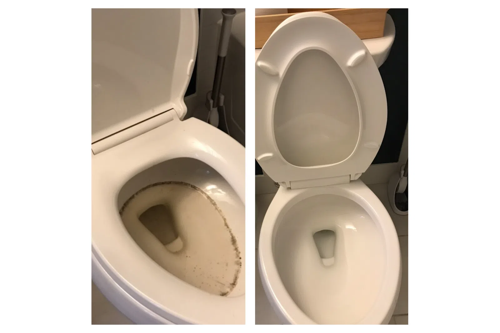MaidPro Denver maid services deep cleans toilets