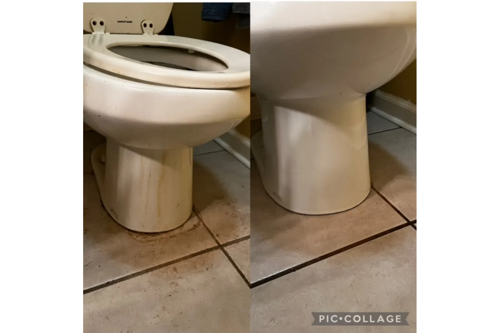 a couple of toilets