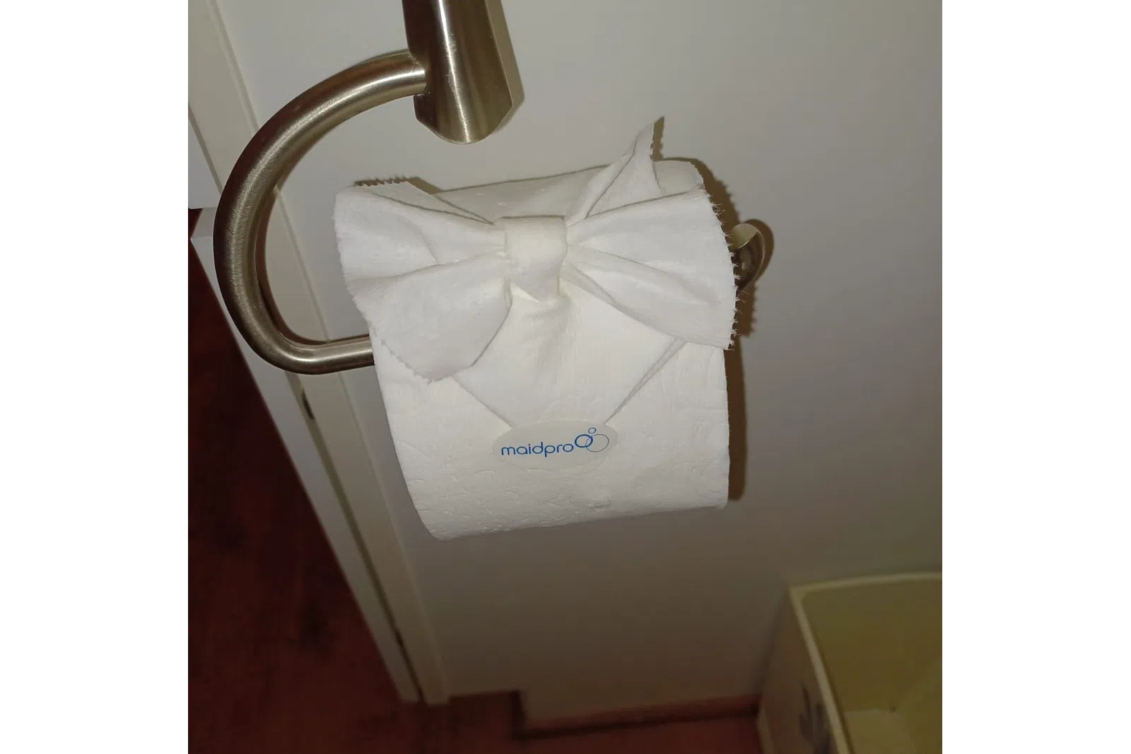 toilet paper roll art by MaidPro Houston Central