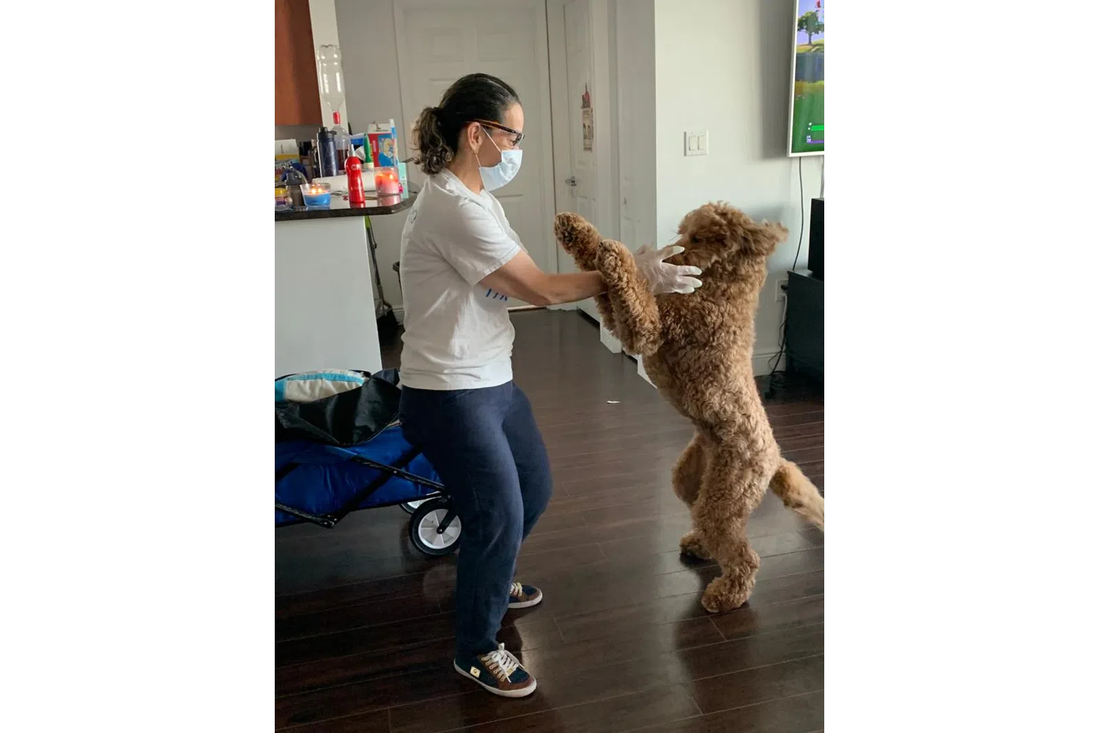 a person holding a dog