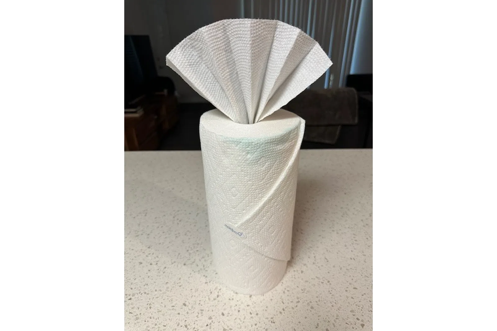 a roll of toilet paper