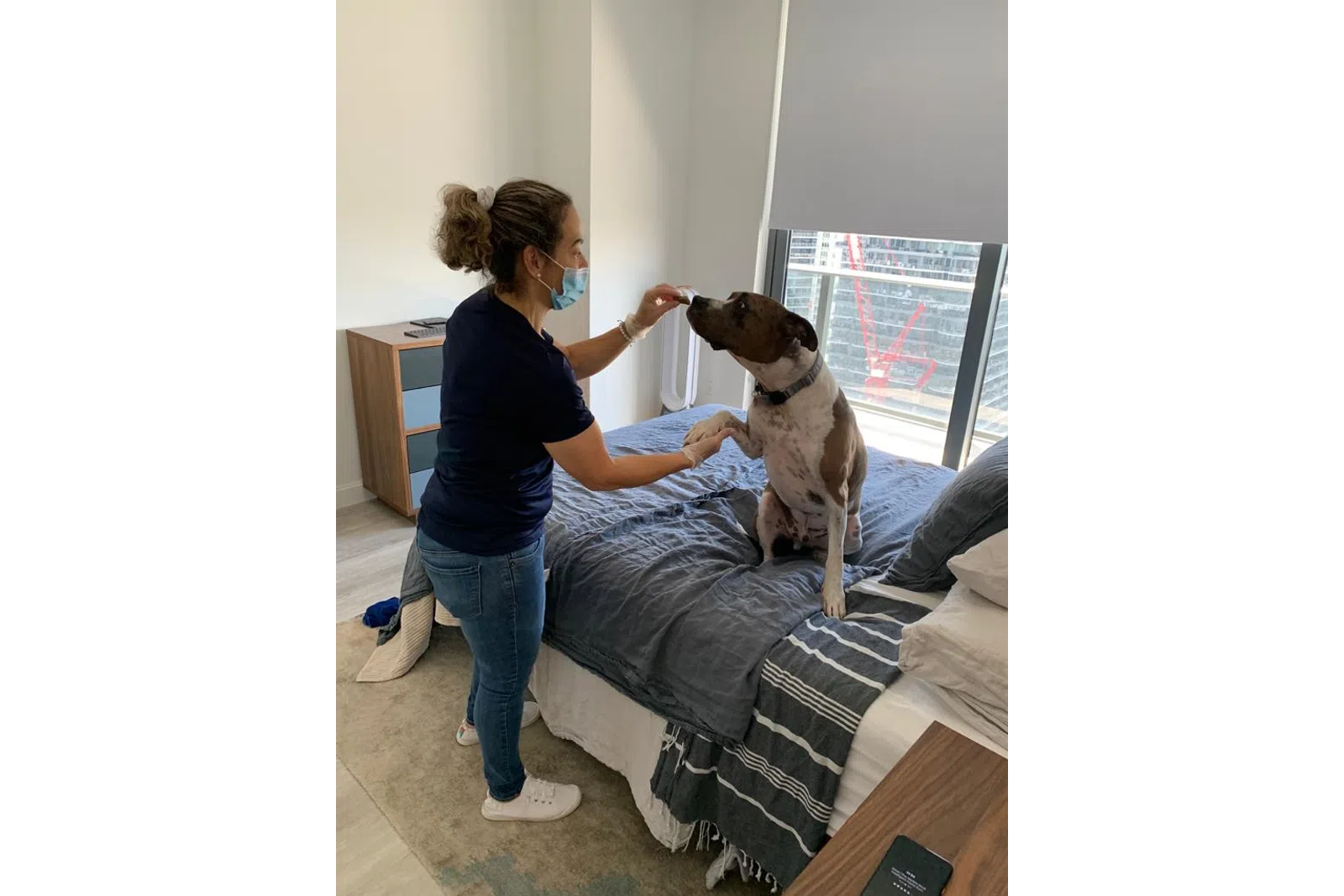 a woman playing with a dog