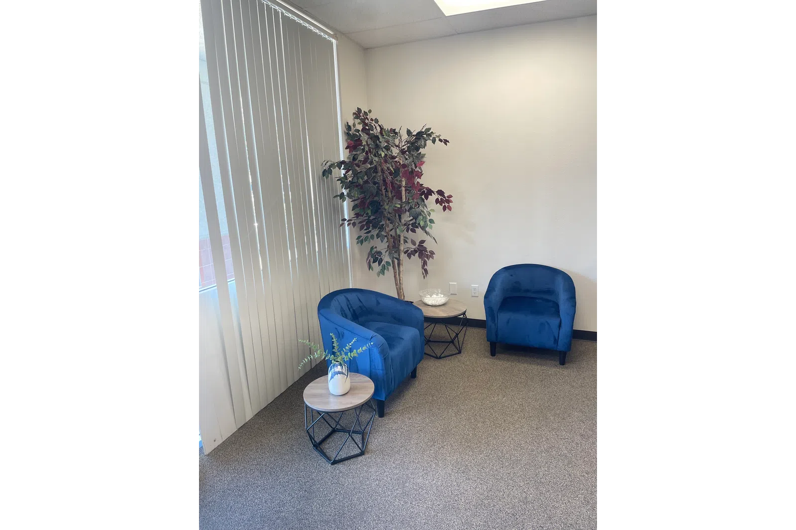 a room with blue chairs and a plant in it