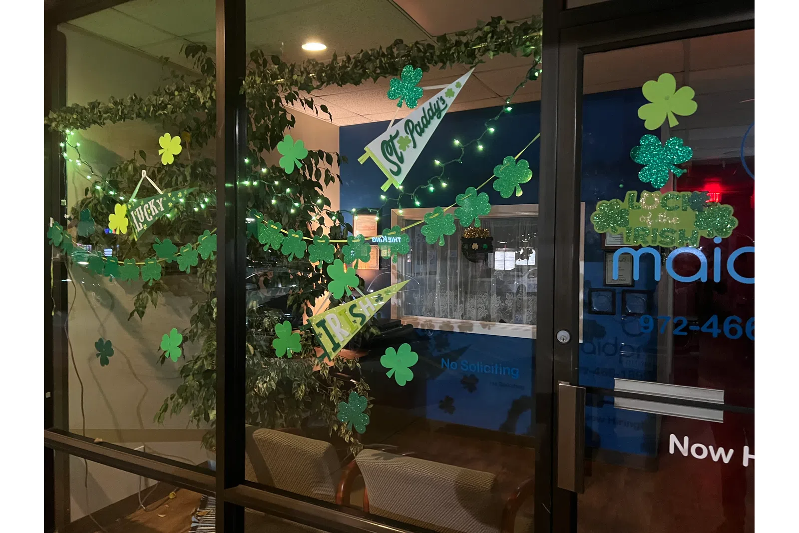a window with a plant in it