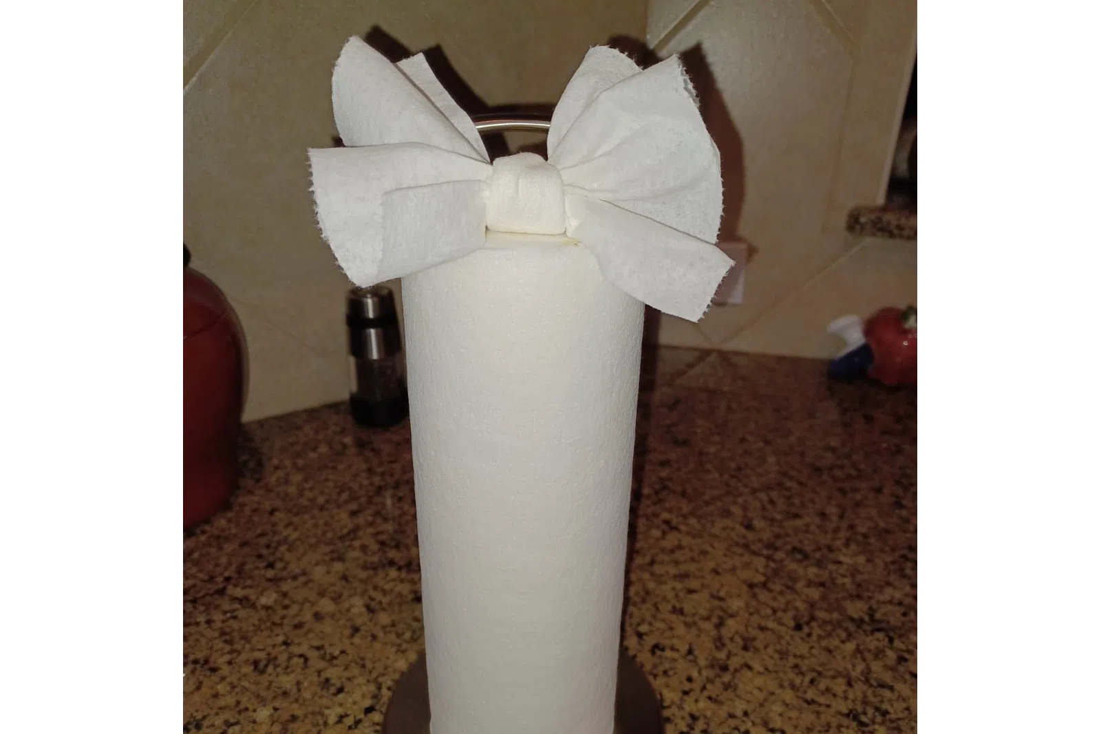 paper towel roll art from MaidPro Katy house cleaning pros