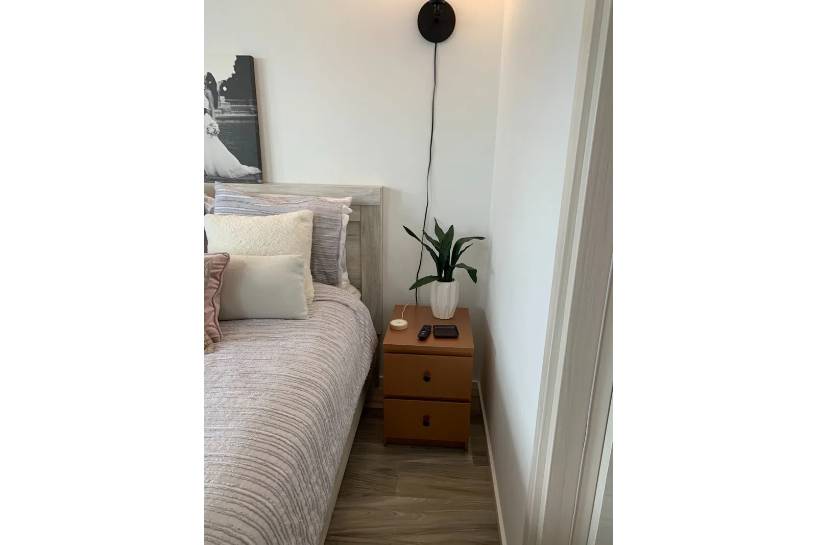 a bed with a plant on it
