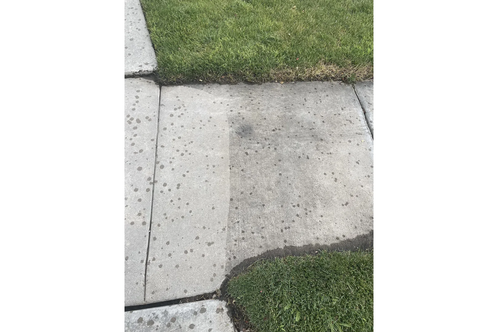 a sidewalk with grass and a sidewalk