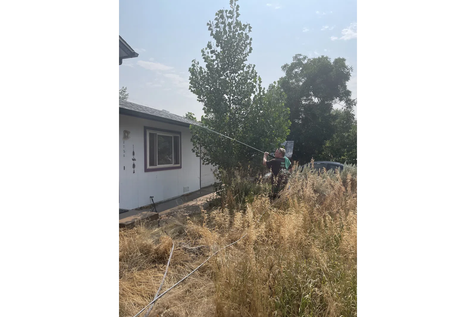 a person cutting a tree
