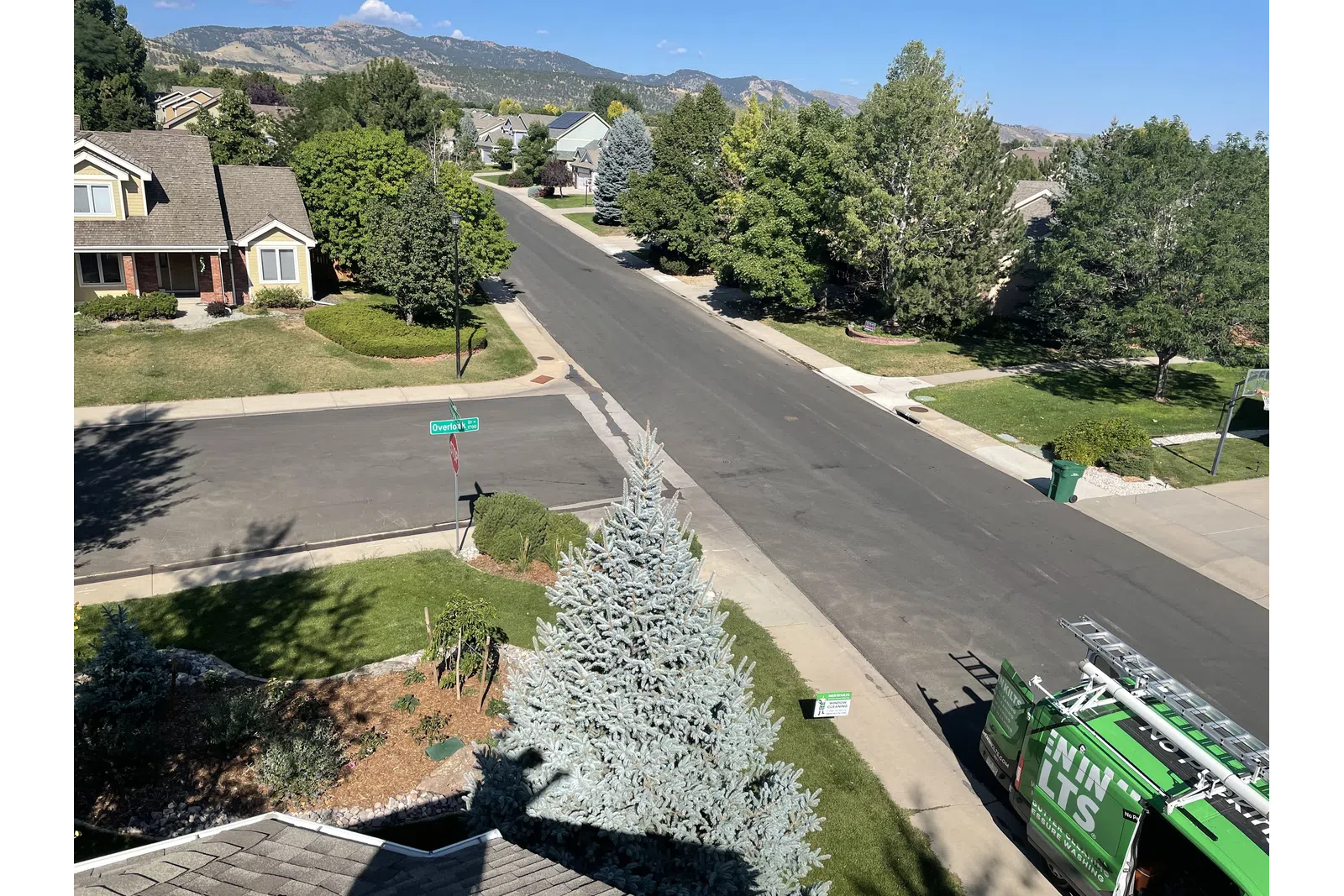 a tree in a neighborhood