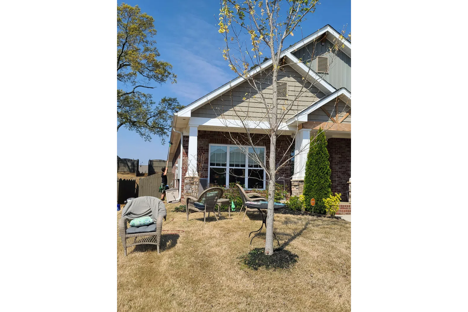 a tree in front of a house