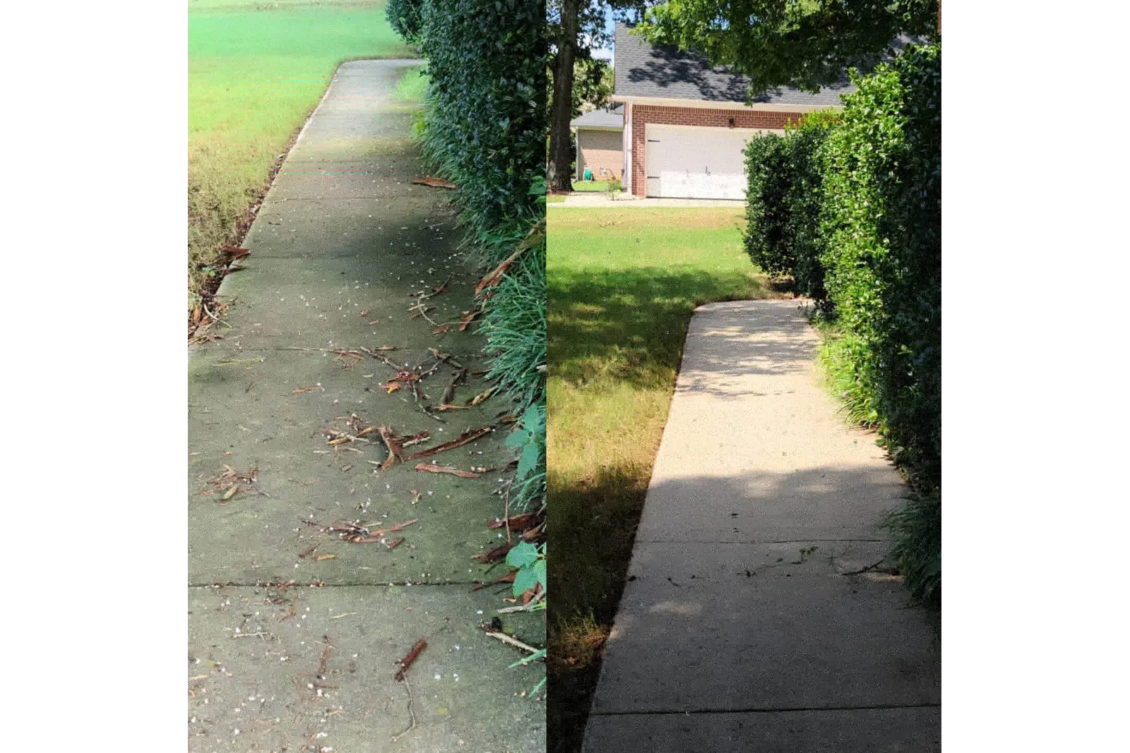 a sidewalk with grass and trees