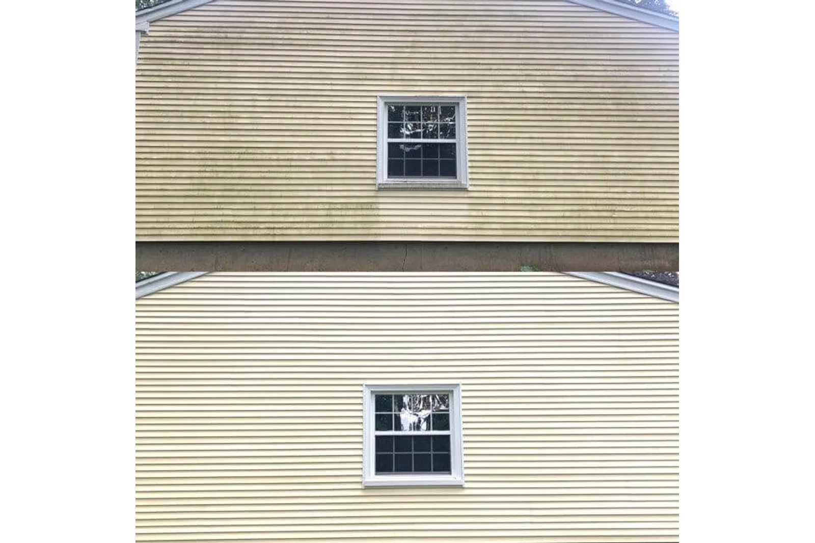 a house with windows