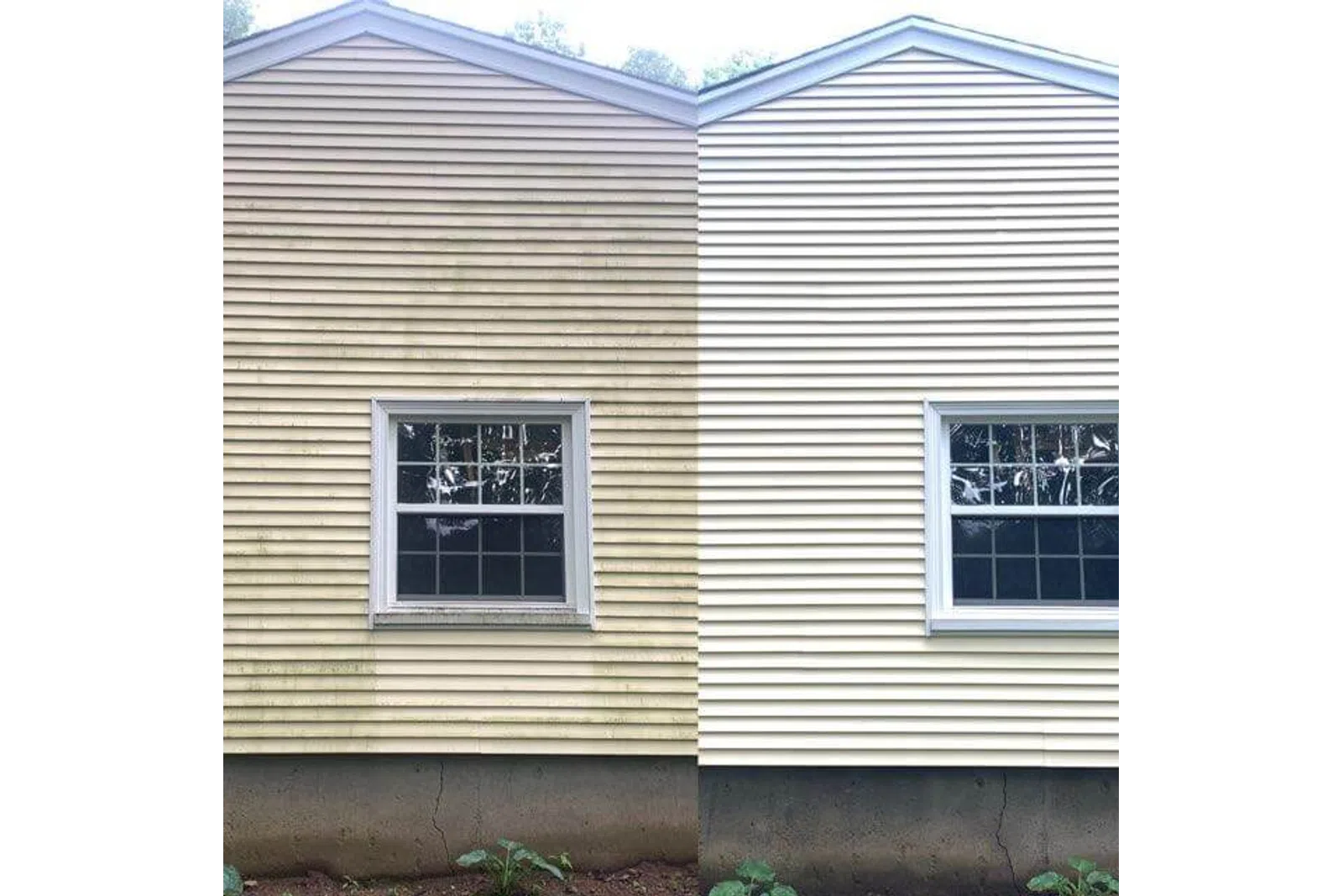 a house with windows