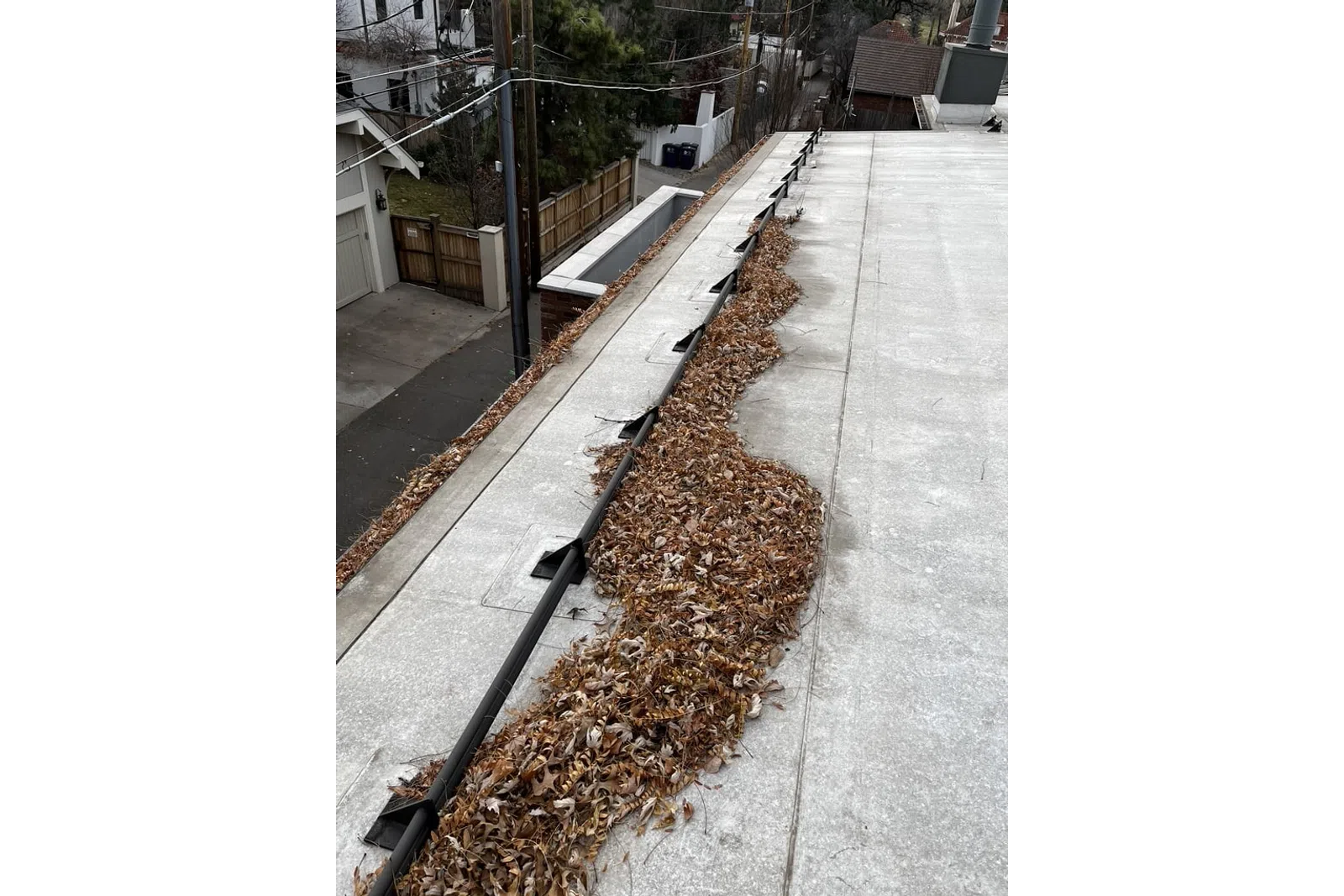 a sidewalk with leaves on it
