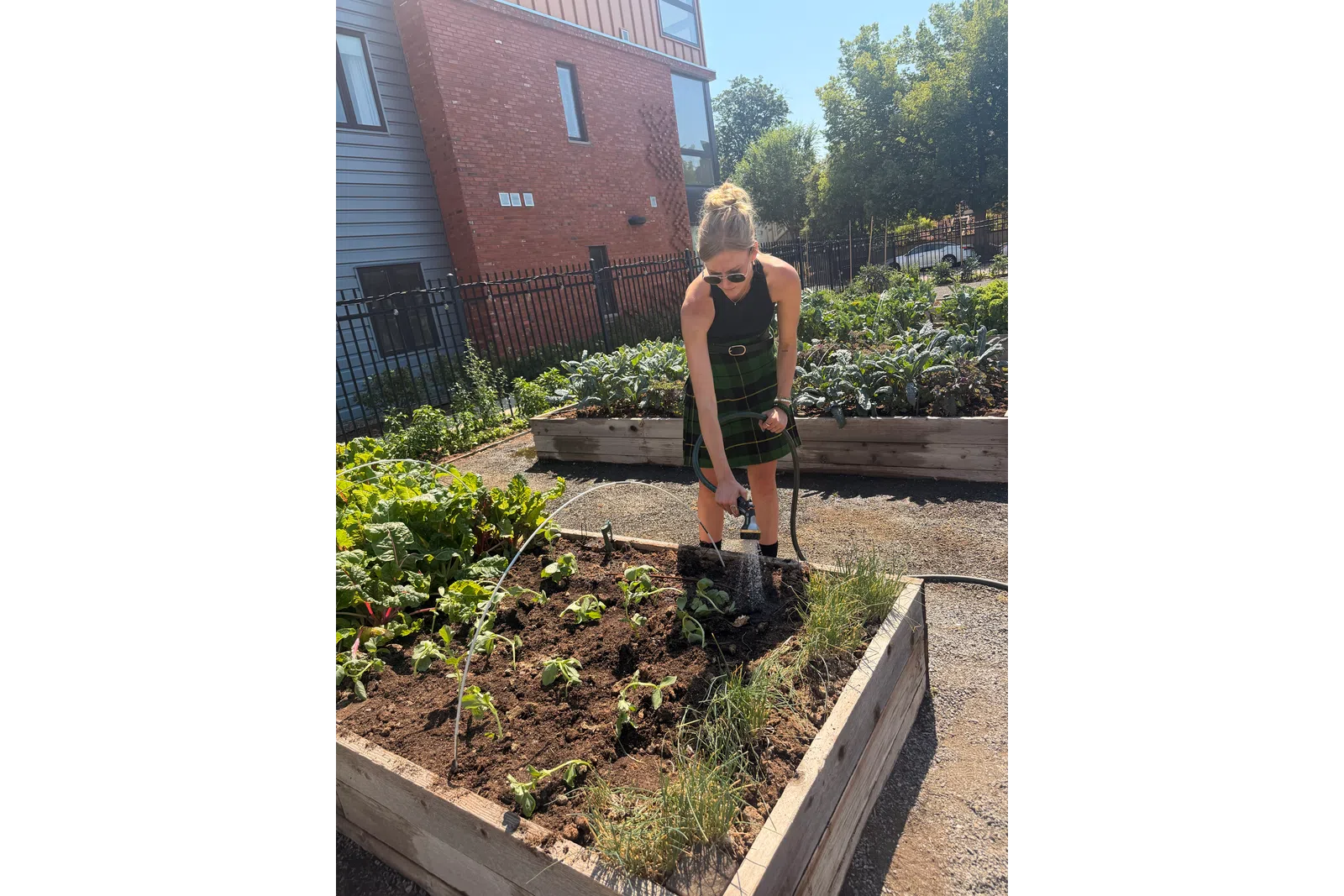 Woman watering plants in a raised garden bed on a sunny day near residential buildings.