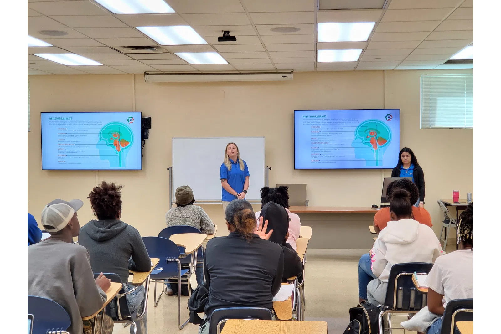 a person giving a presentation to a group of people