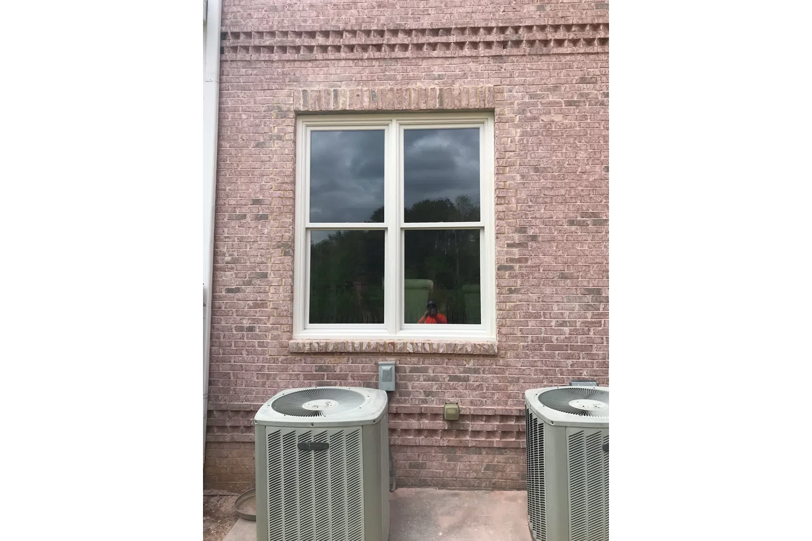 a cat sitting in a window