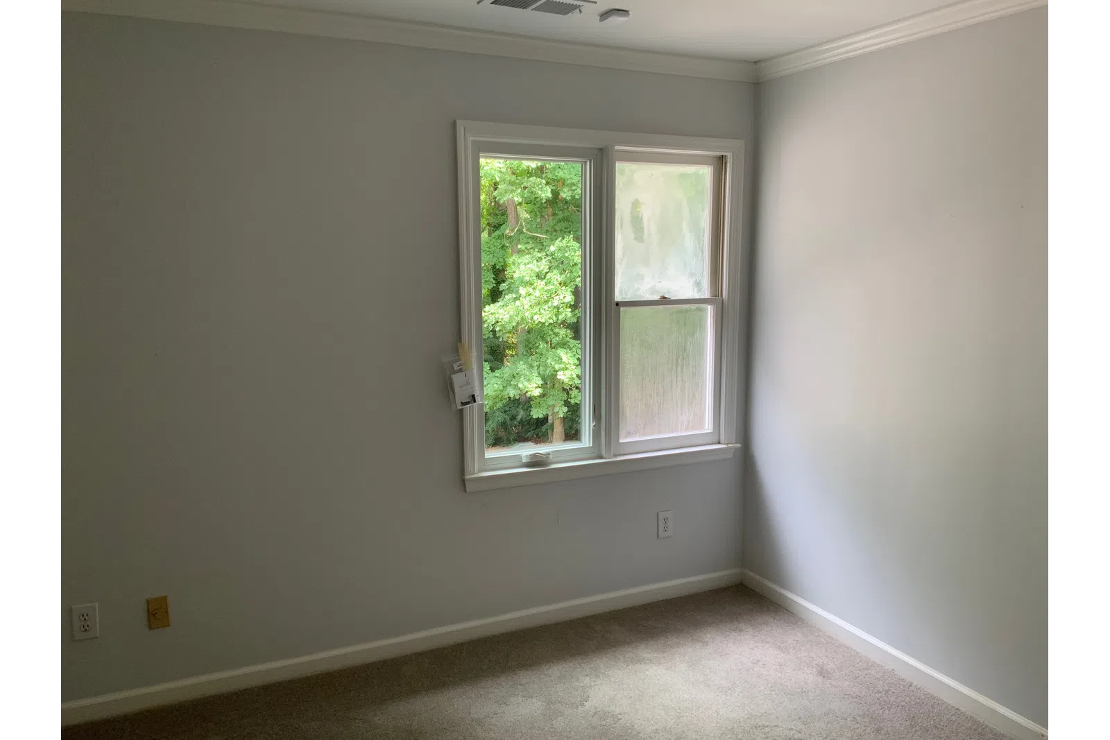 a room with a window and a tree outside