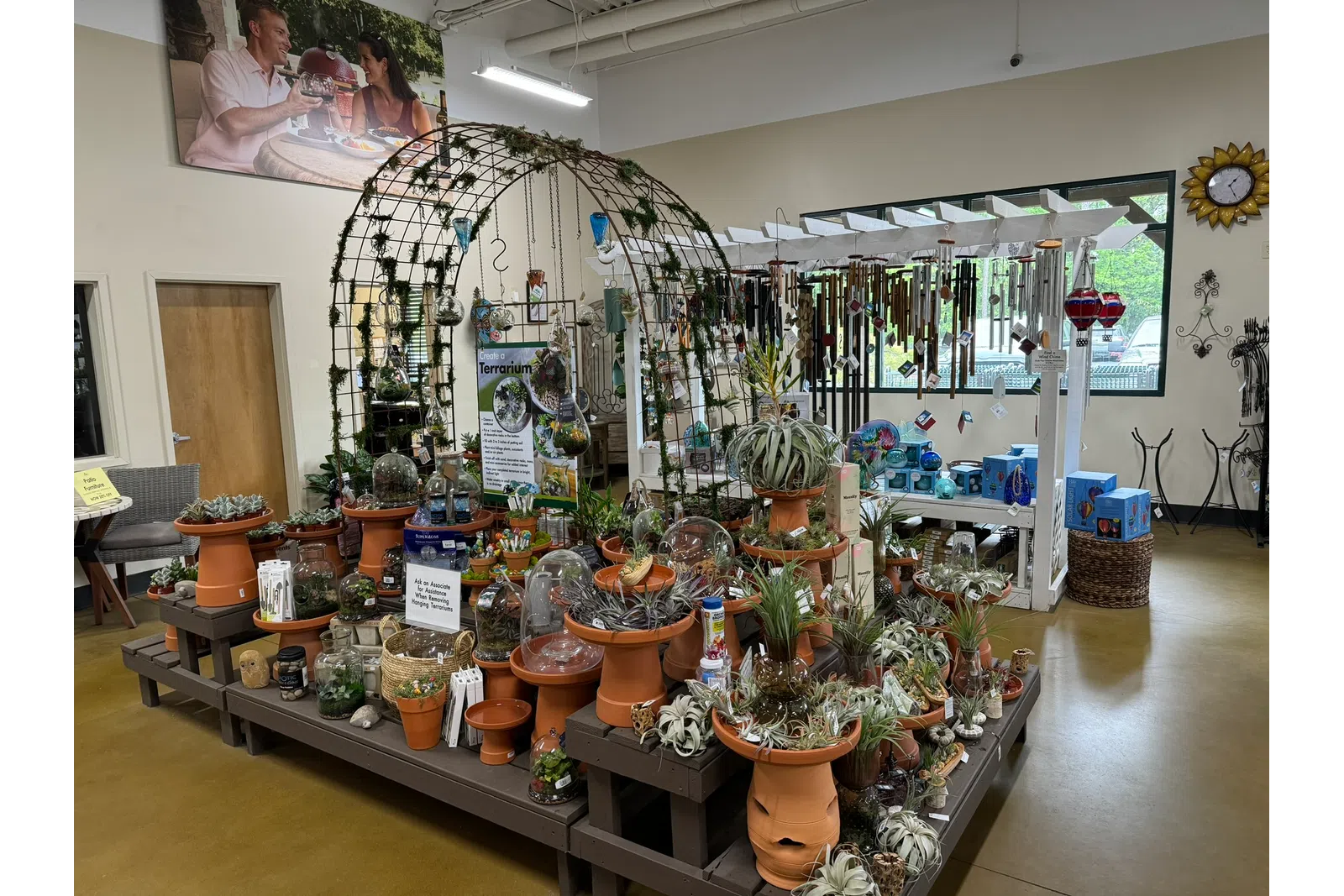 Indoor display of terrariums, air plants, and garden decor arranged on wooden platforms with an arch trellis above.