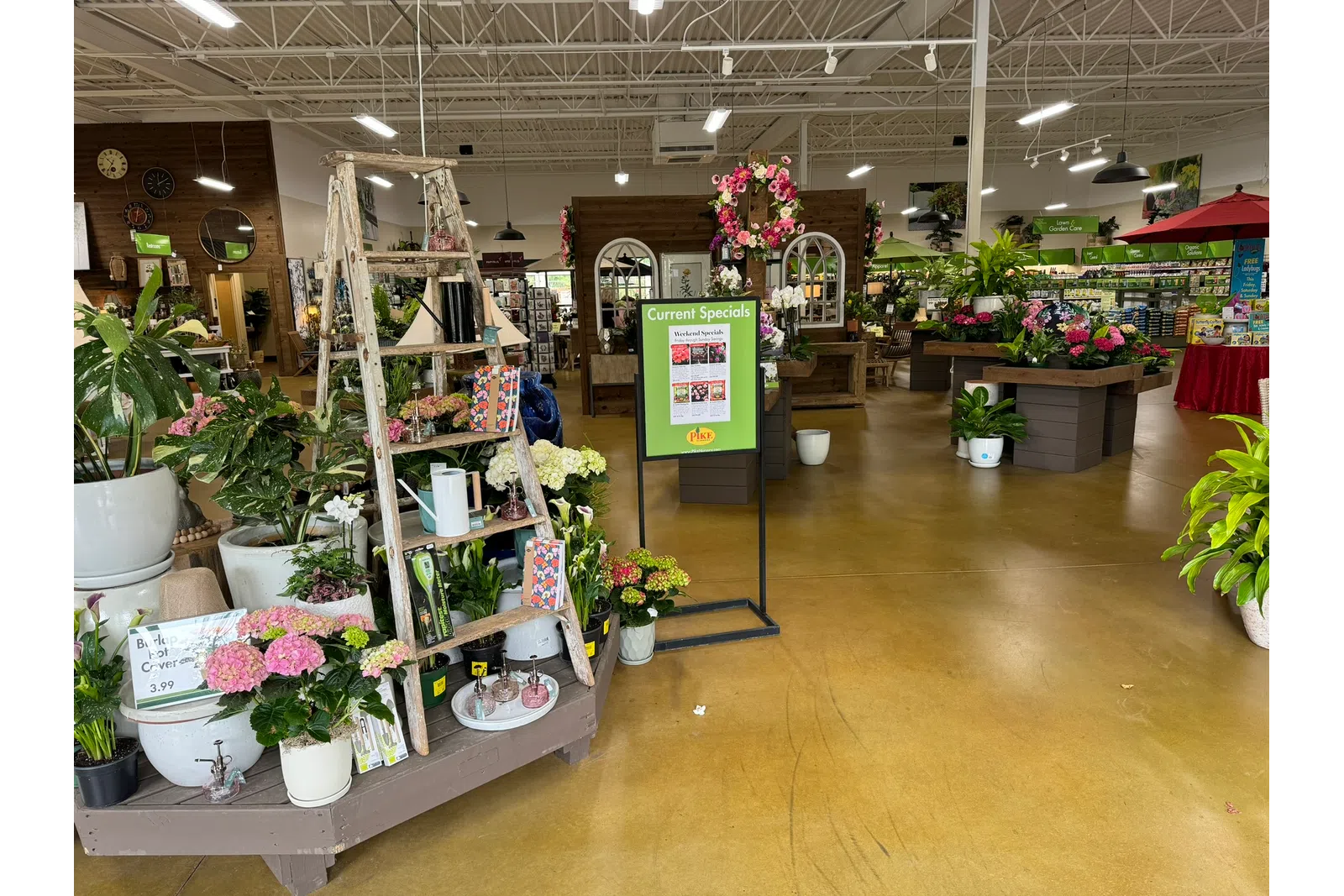 Interior of a garden center with various potted plants, flowers, and promotional signage under bright lighting.